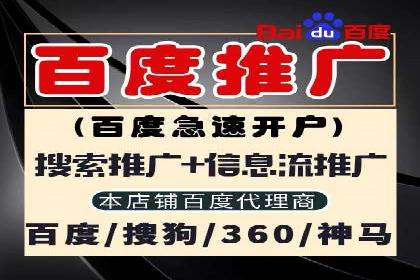 某某SEM服务公司成功案例：从数据出发的营销策略
